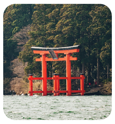 Contact
